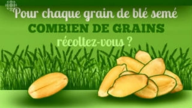 LA SEMAINE VERTE