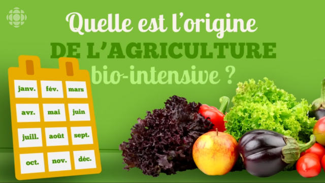 LA SEMAINE VERTE