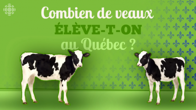 LA SEMAINE VERTE