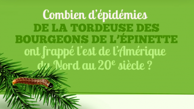 LA SEMAINE VERTE