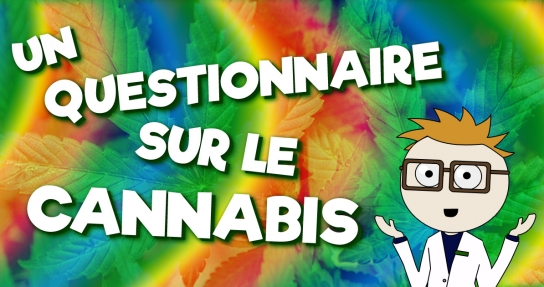 Un questionnaire sur le cannabis 