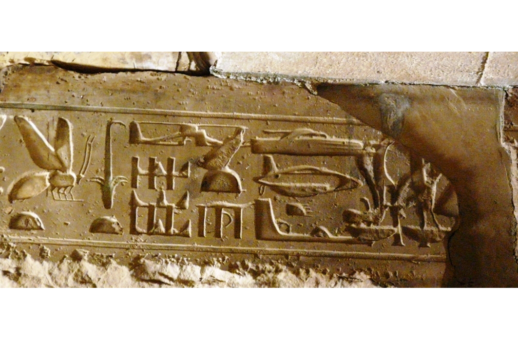Les véhicules de guerre d’Abydos