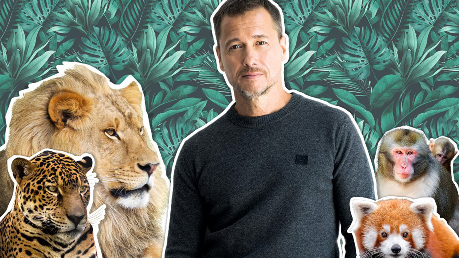 La vie secrète des animaux