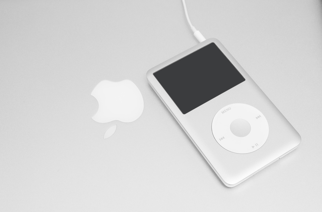 Le iPod a été décliné en plusieurs modèles en raison de sa popularité.