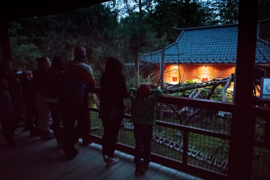 Virée nocturne au Zoo de Granby