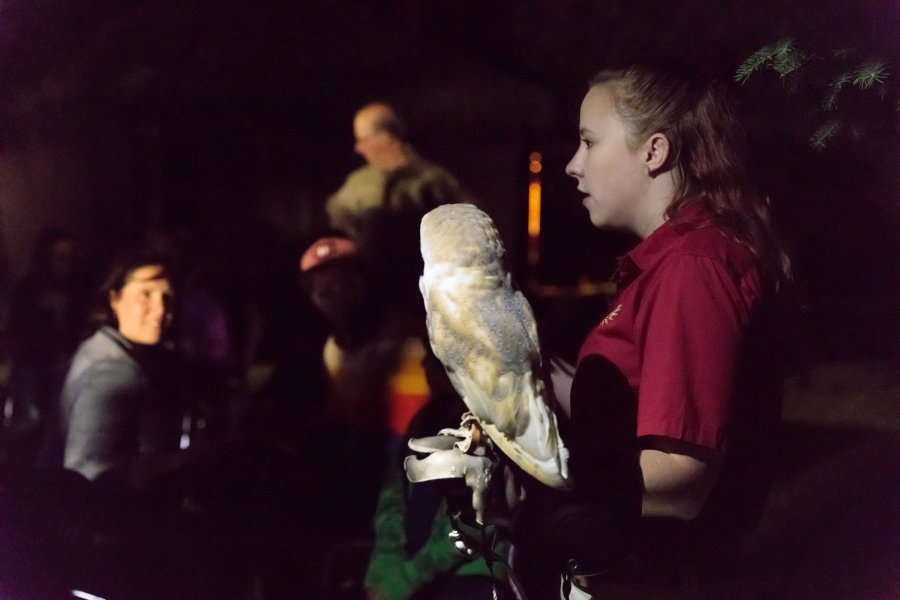 Virée nocturne au Zoo de Granby