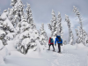 Parc national de la Gaspésie