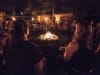 Le zoo la nuit