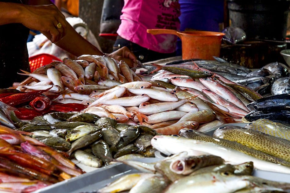 Les poissons frais