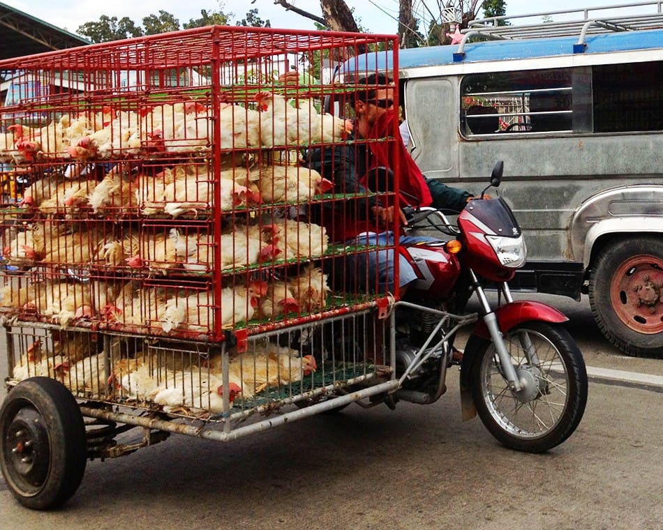 Sur la route tout est possible!