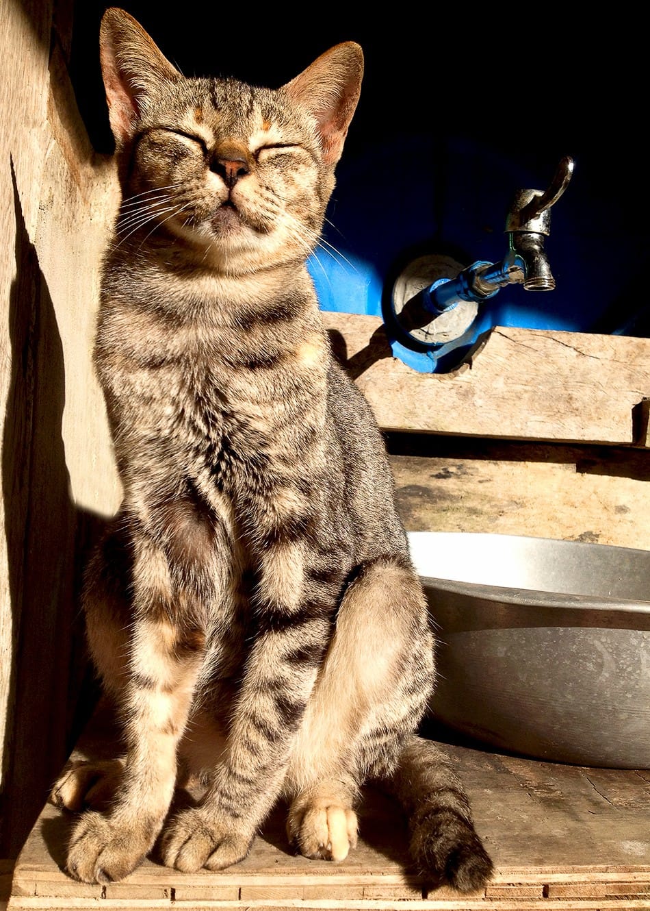 Le bon soleil du matin!