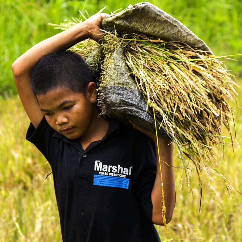 Il faut aider à la ferme