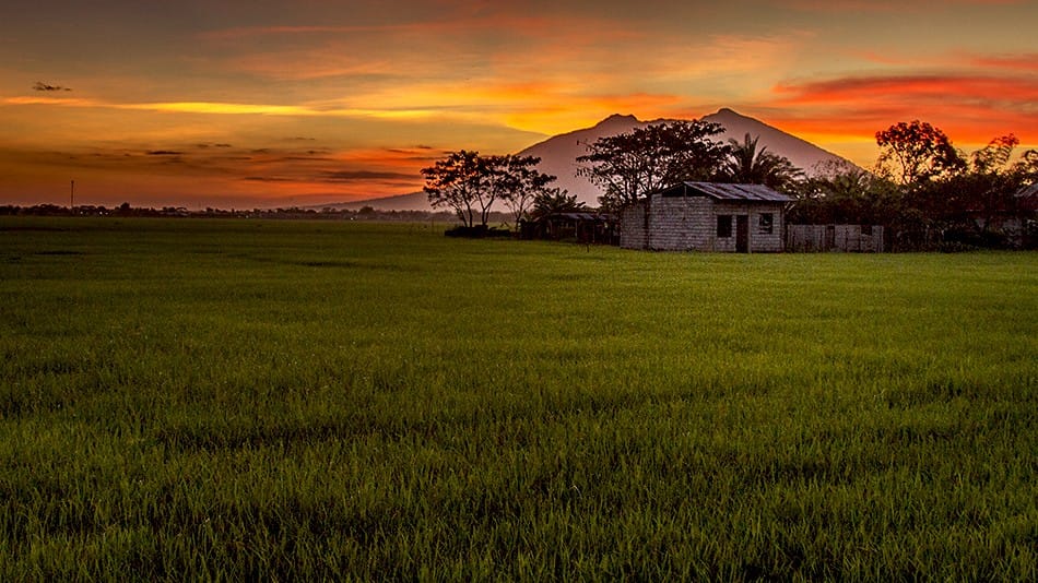 Coucher de soleil