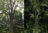 Jardin des Premières-Nations