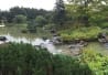 Jardin japonais