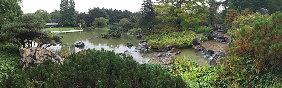 Jardin japonais