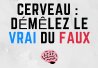 Le cerveau : démêlez le vrai du faux