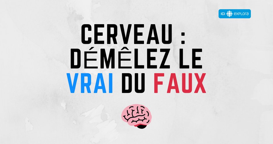 Le cerveau : démêlez le vrai du faux