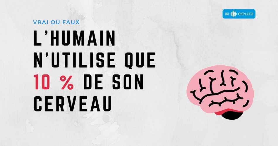 L'humain n'utilise que 10 % de son cerveau