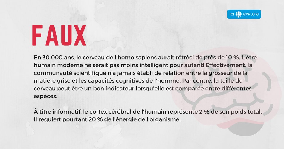 La grosseur du cerveau est corrélative à l'intelligence
