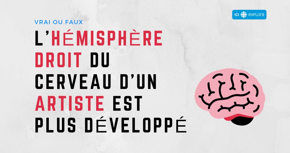 L'hémisphère droit du cerveau d'un artiste est plus développé