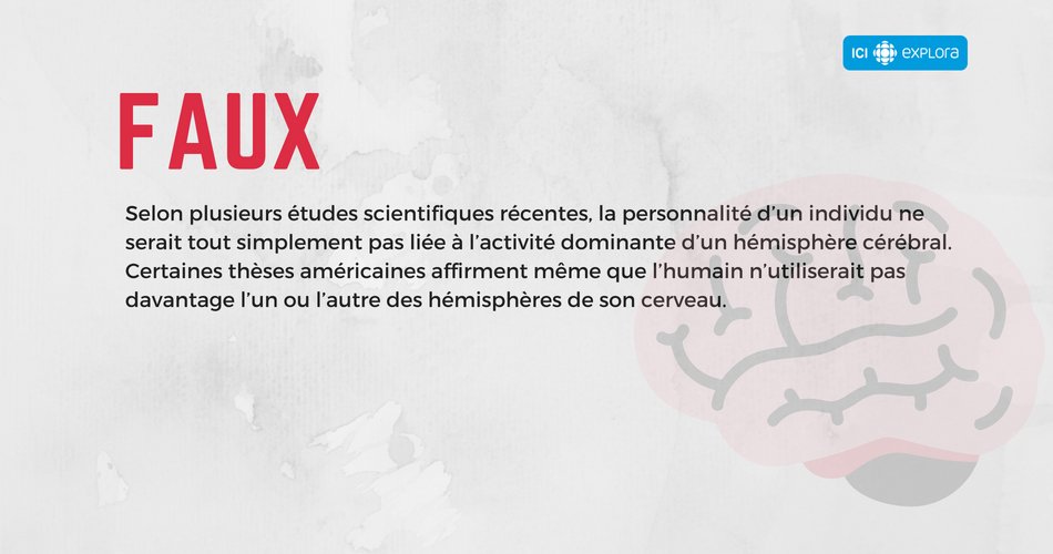 L'hémisphère droit du cerveau d'un artiste est plus développé