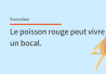 L'habitat du poisson rouge