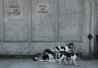 Les chiens abandonnés