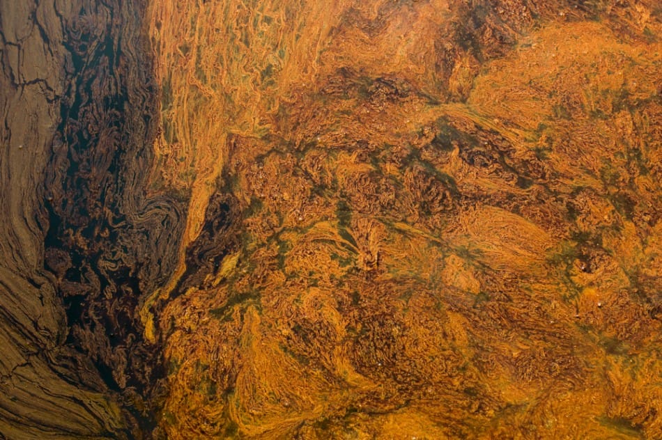 Exposition Contamination + Addiction de Michel Huneault