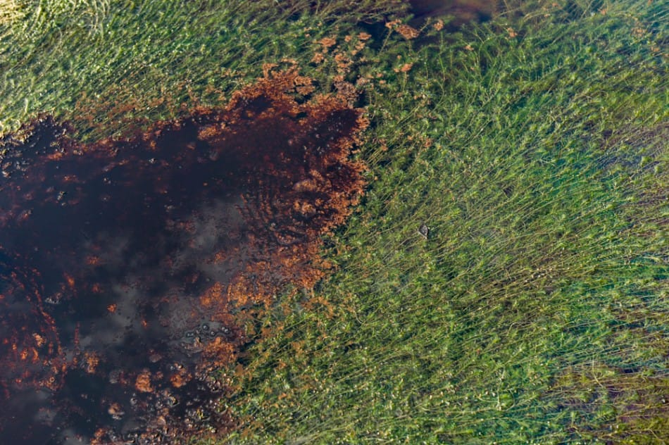 Exposition Contamination + Addiction de Michel Huneault