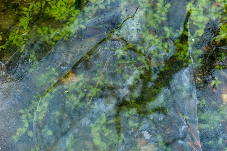 Exposition Contamination + Addiction de Michel Huneault