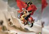 Le destrier moderne de Napoléon