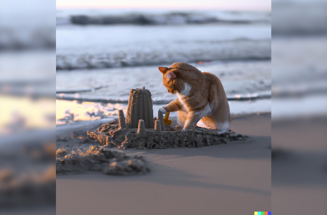 Un chat sur la plage