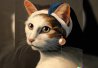 Le jeune chat à la perle