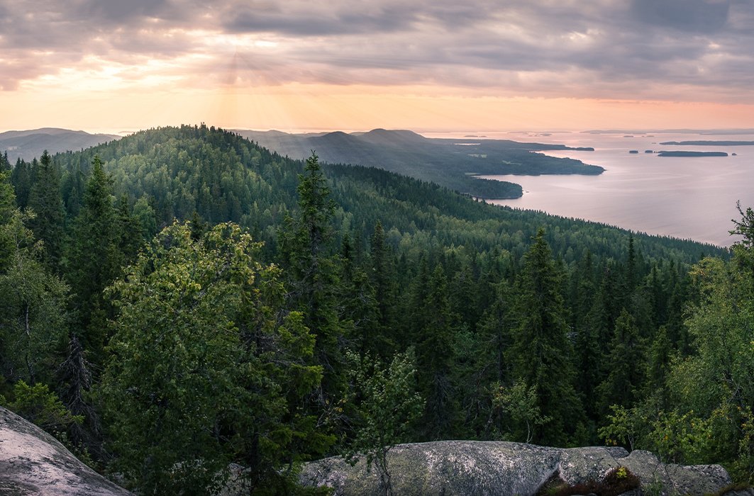 Le parc national de Koli