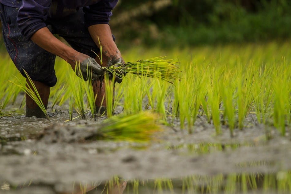 Les mains dans la boue!