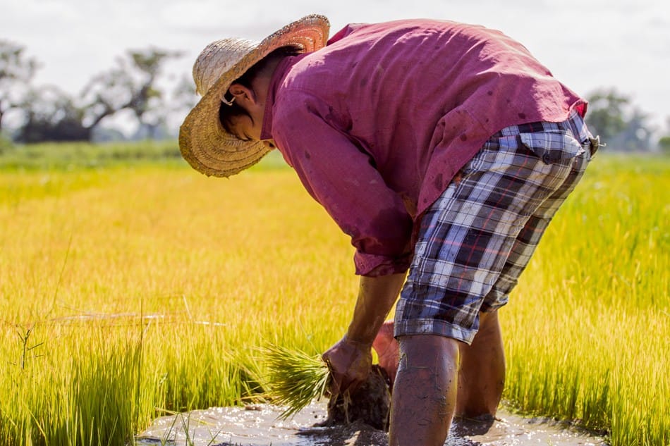 Travailler en plein soleil