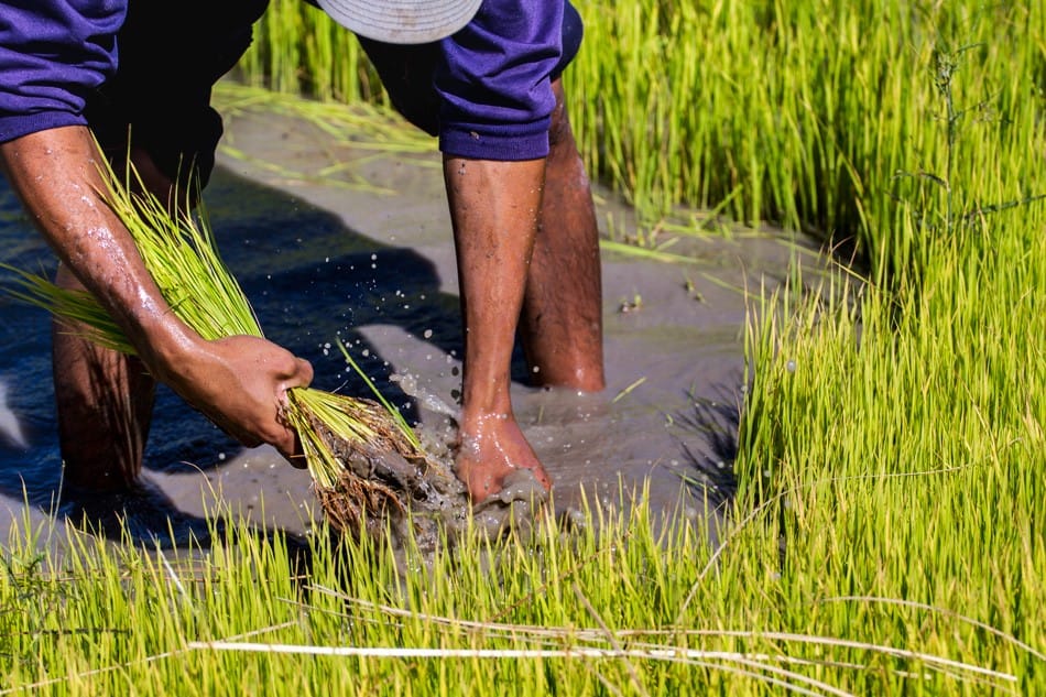 Les deux pieds dans l'eau!