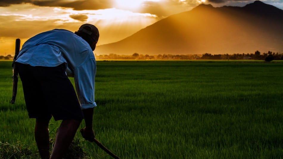 Fermier au coucher du soleil