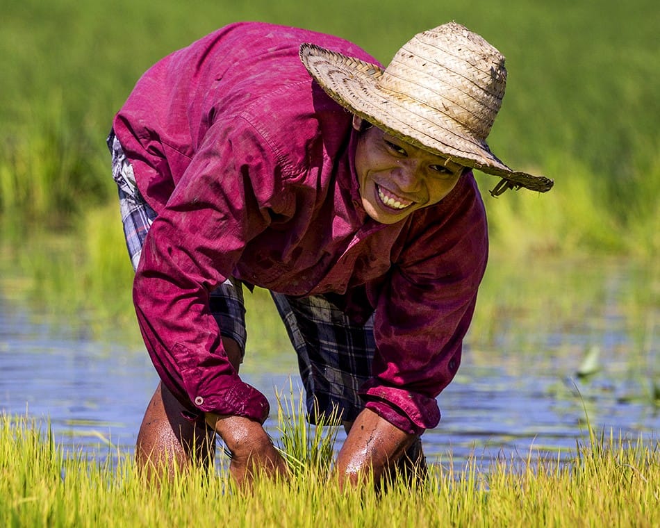Sourire d'un travailleur