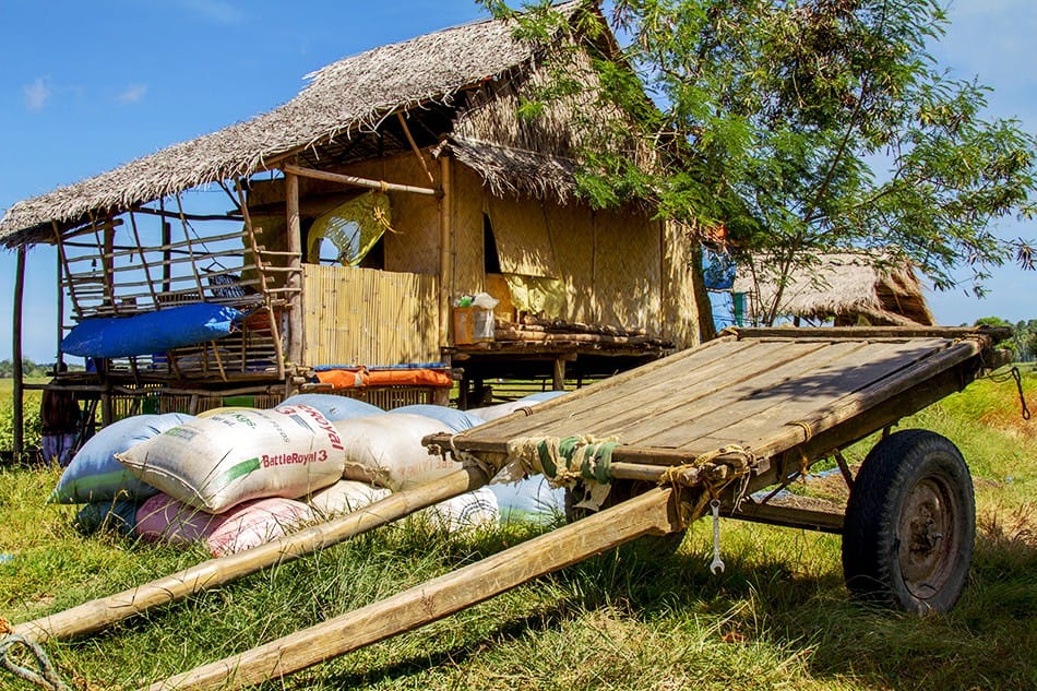 Un modeste poulailler