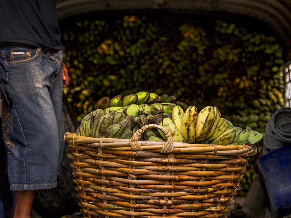 Livraison de bananes au marché