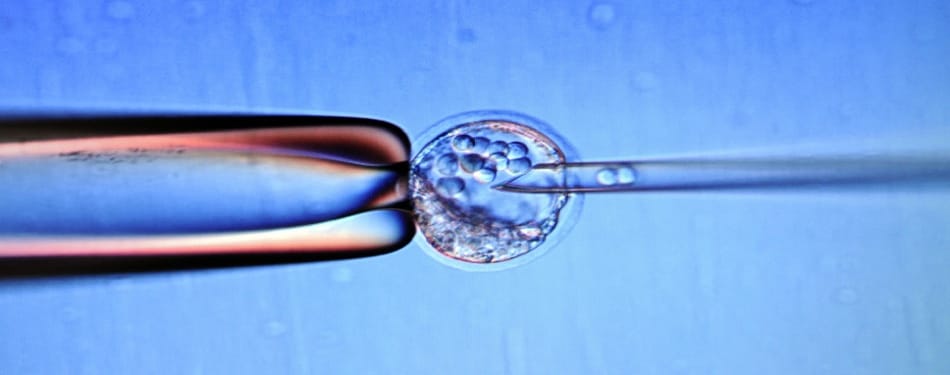 Cancer et malchance : mauvais choix de mots Cancer et malchance : mauvais choix de mots