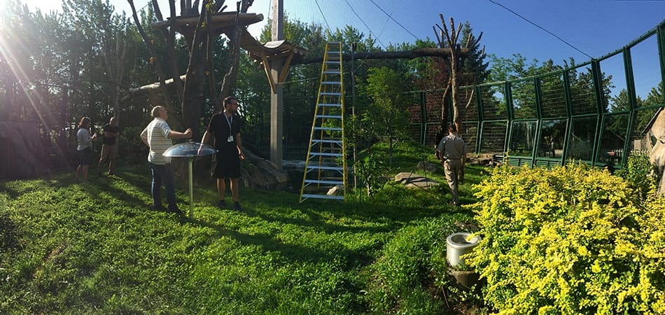 La techno à l’épreuve des animaux La techno à l’épreuve des animaux