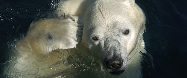 Tirage : passes familiales pour l'Aquarium du Québec