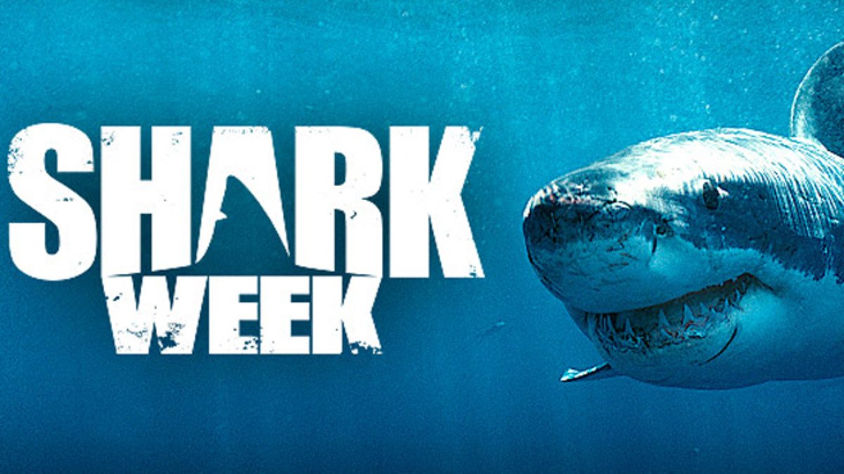 La 30e édition de la Shark Week