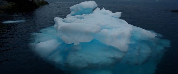 Ne sous-estimez pas les microorganismes!