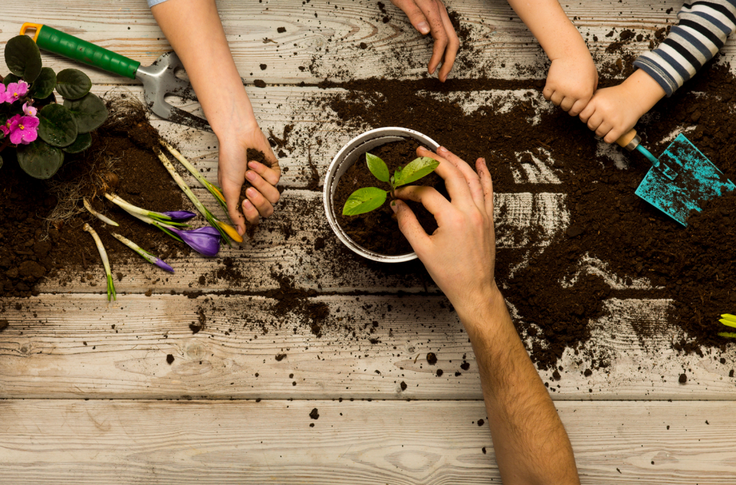 Photographie prise en plongée représentant des mains qui travaillent dans la terre.