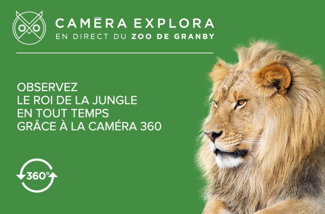 Une troisième année au Zoo de Granby pour Caméra Explora!