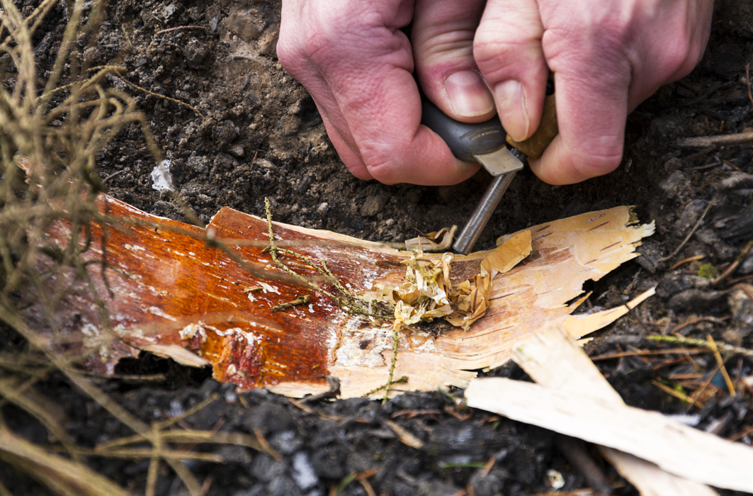 Une main tente d'allumer un feu sur une écorce d'arbre. 